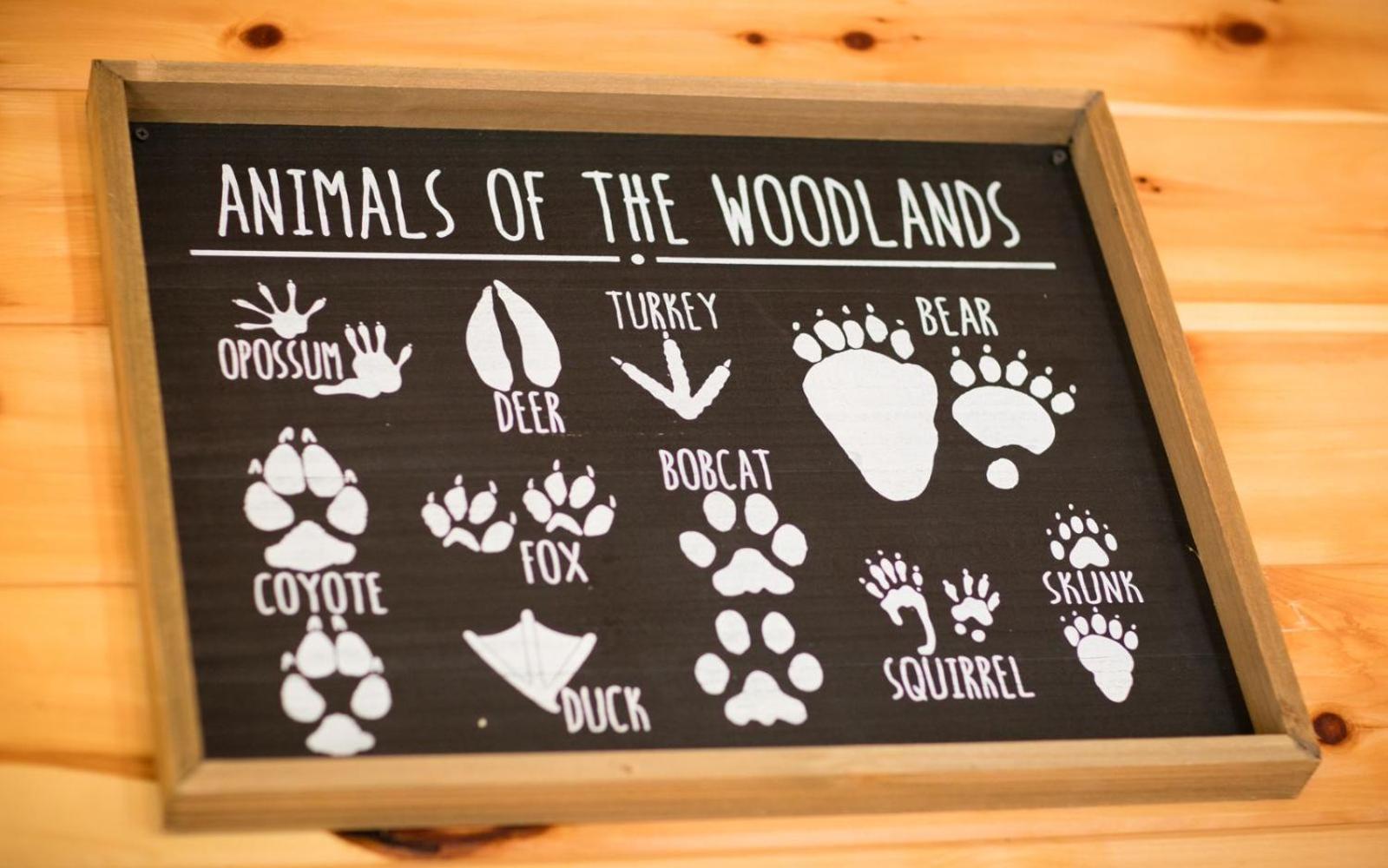Lifes A Bear Villa Gatlinburg Eksteriør billede