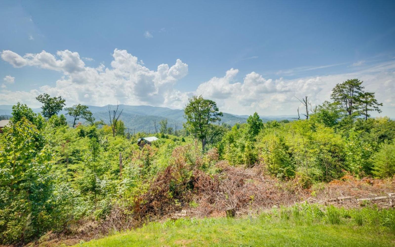 Lifes A Bear Villa Gatlinburg Eksteriør billede