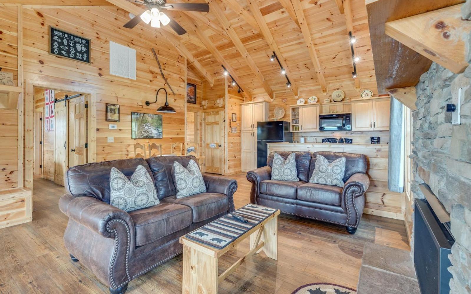 Lifes A Bear Villa Gatlinburg Eksteriør billede